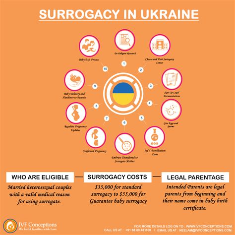 What is The Surrogacy Cost in Ukraine 2024